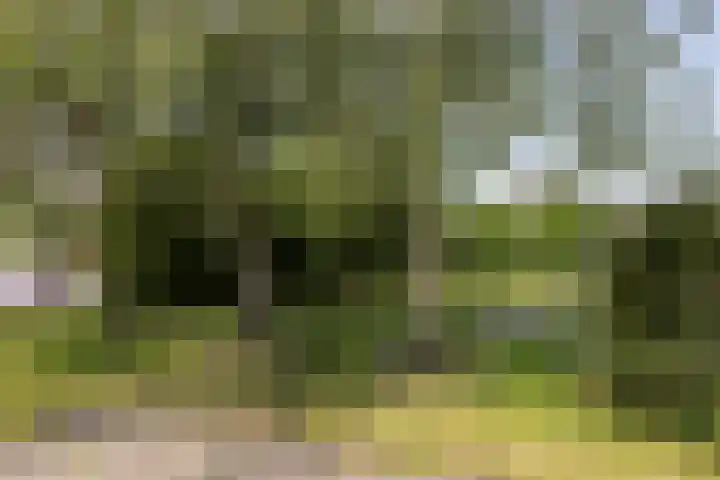 Zomermeter 5 Sneek thumbnail 49