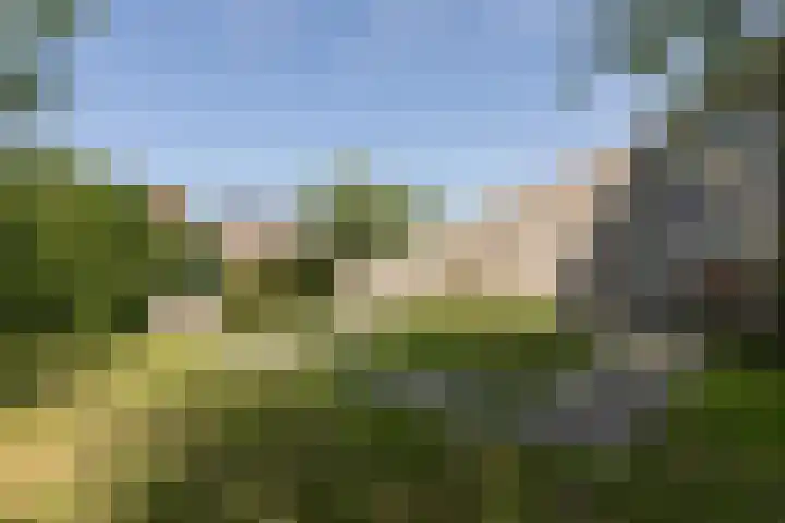 Zomermeter 5 Sneek thumbnail 50