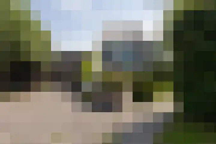Zomermeter 5 Sneek thumbnail 51