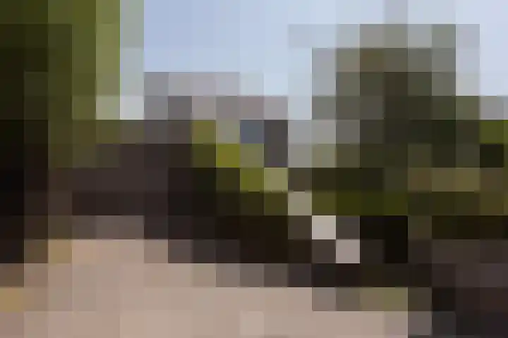 Zomermeter 5 Sneek thumbnail 52