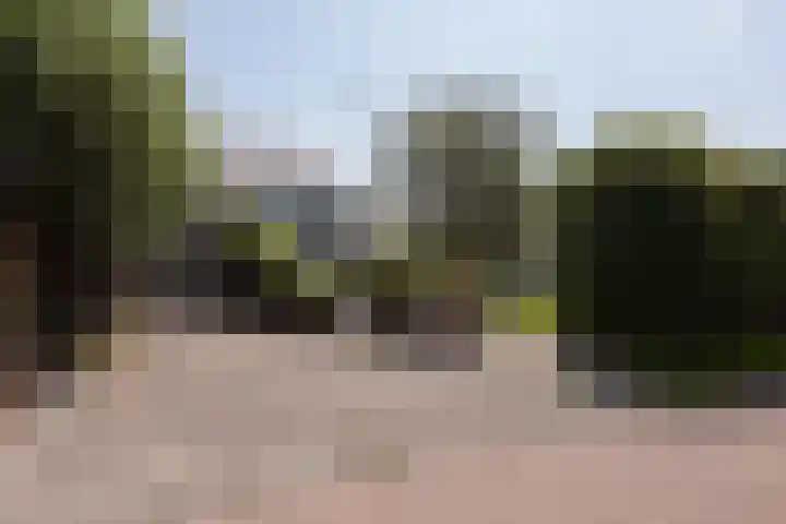 Zomermeter 5 Sneek thumbnail 53