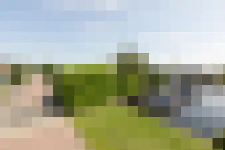 Zomermeter 5 Sneek thumbnail 54