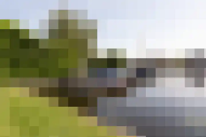 Zomermeter 5 Sneek thumbnail 55