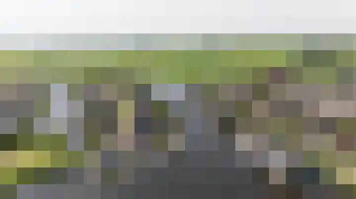 Zomermeter 5 Sneek thumbnail 59