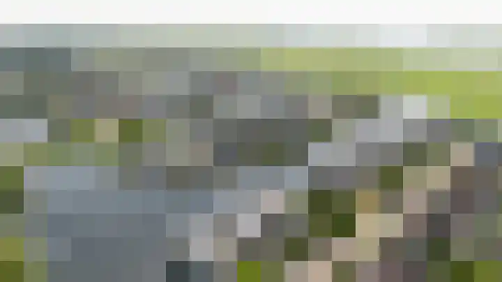 Zomermeter 5 Sneek thumbnail 60
