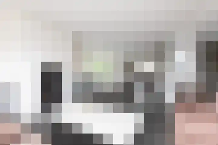 Zomermeter 5 Sneek thumbnail 8