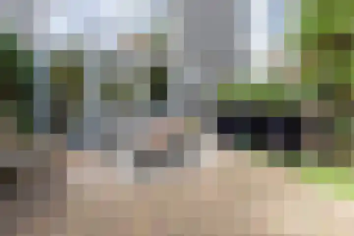 Zomerpark 10 Nieuw-Vennep thumbnail 12