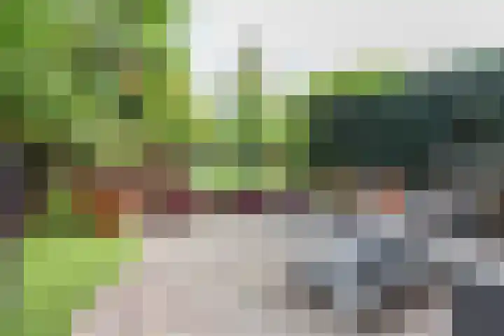 Zomerpark 10 Nieuw-Vennep thumbnail 13