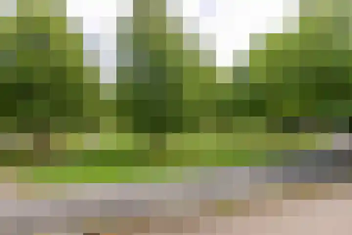 Zomerpark 10 Nieuw-Vennep thumbnail 15