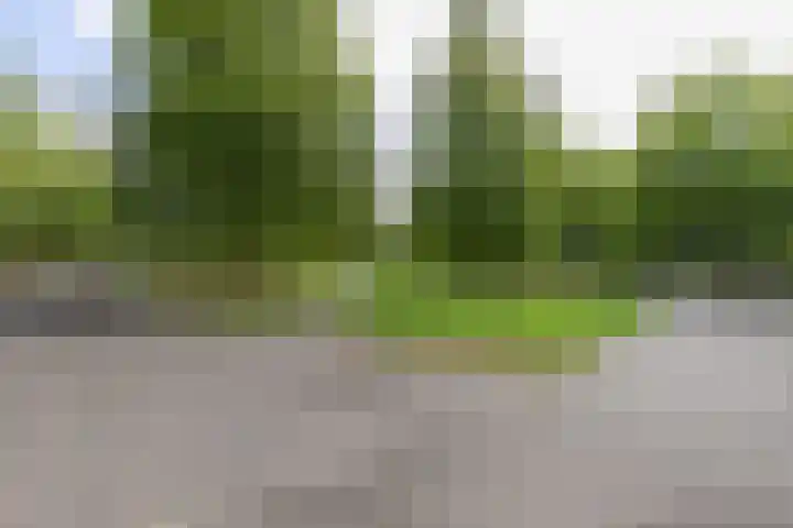 Zomerpark 10 Nieuw-Vennep thumbnail 48