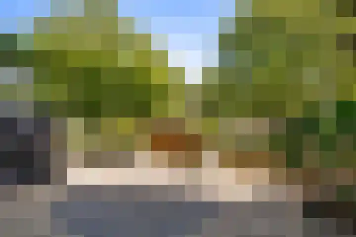 Zomerpark 28 Nieuw-Vennep thumbnail 16