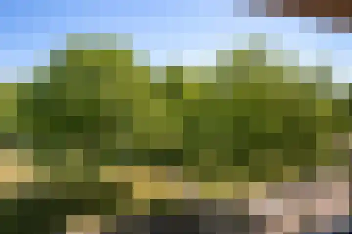 Zomerpark 28 Nieuw-Vennep thumbnail 31