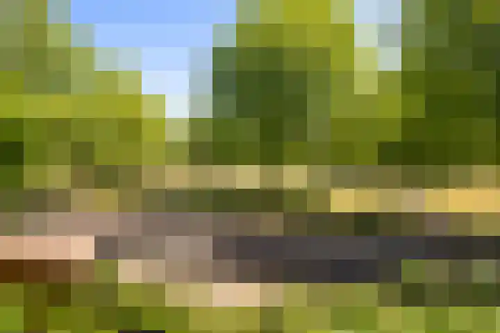 Zomerpark 28 Nieuw-Vennep thumbnail 47