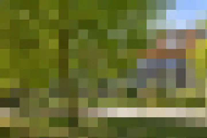 Zomerpark 28 Nieuw-Vennep thumbnail 48