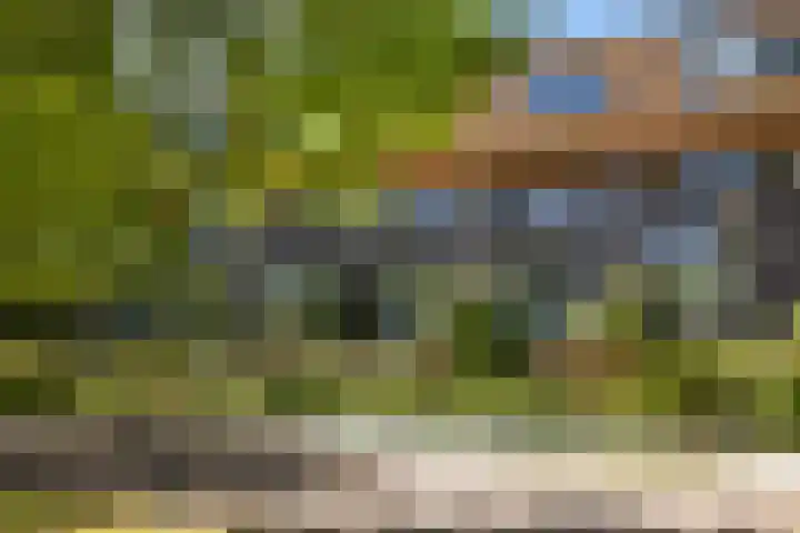 Zomerpark 28 Nieuw-Vennep thumbnail 6
