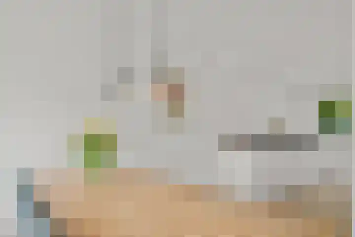 Zomerpolder 7 Houten thumbnail 11