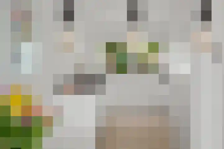 Zomerpolder 7 Houten thumbnail 13
