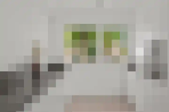 Zomerpolder 7 Houten thumbnail 15