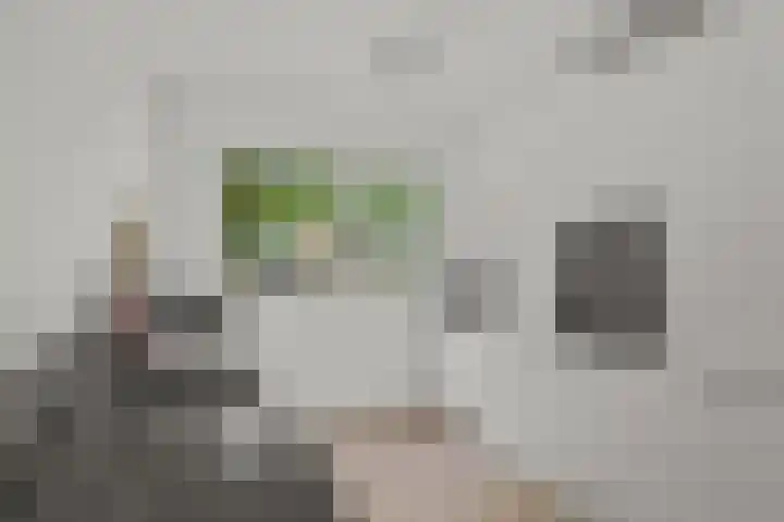 Zomerpolder 7 Houten thumbnail 16