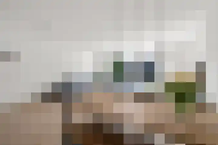 Zomerpolder 7 Houten thumbnail 20