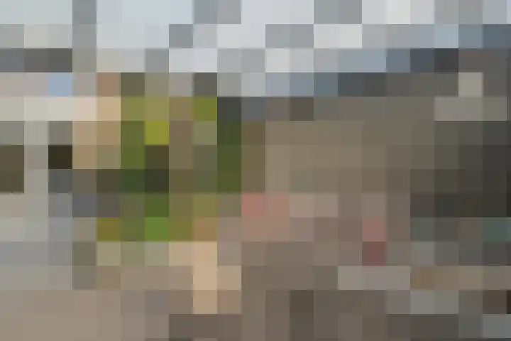 Zomerpolder 7 Houten thumbnail 24