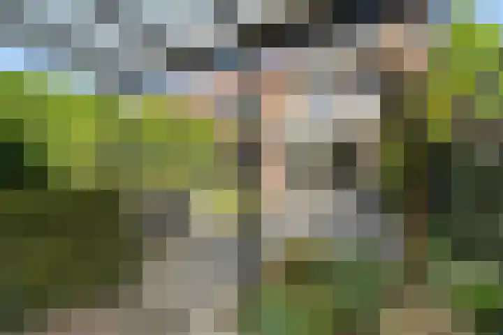 Zomerpolder 7 Houten thumbnail 25