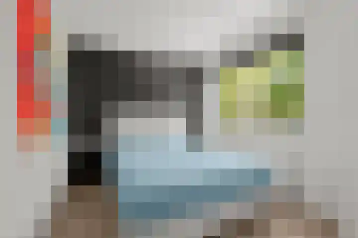 Zomerpolder 7 Houten thumbnail 29