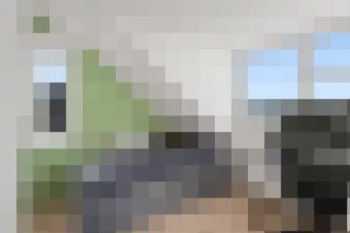Zomerpolder 7 Houten thumbnail 41