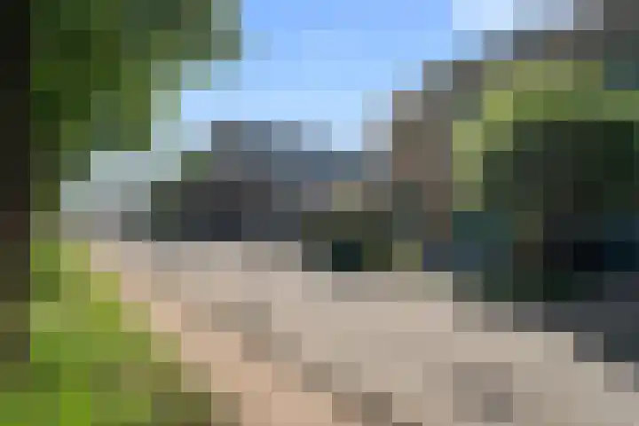 Zomerpolder 7 Houten thumbnail 51