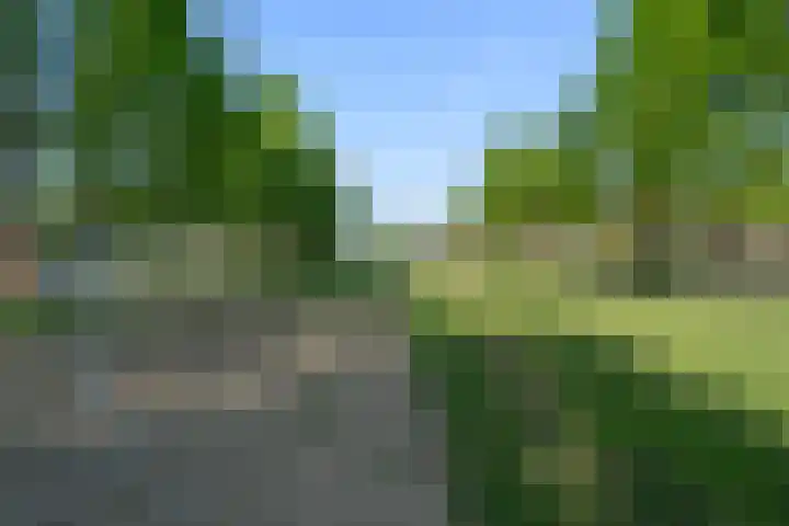 Zomerpolder 7 Houten thumbnail 52