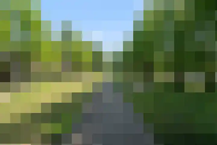 Zomerpolder 7 Houten thumbnail 53