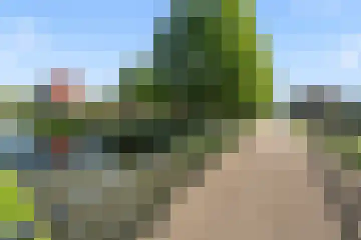Zomerpolder 7 Houten thumbnail 54