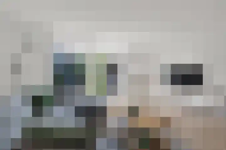 Zomerpolder 7 Houten thumbnail 6
