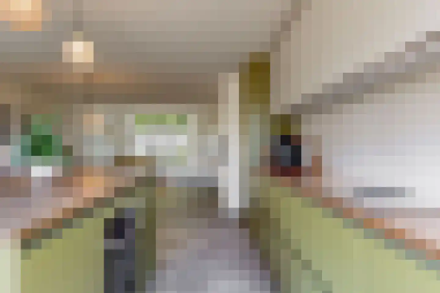 Zomerschoon 30 Limmen thumbnail 18