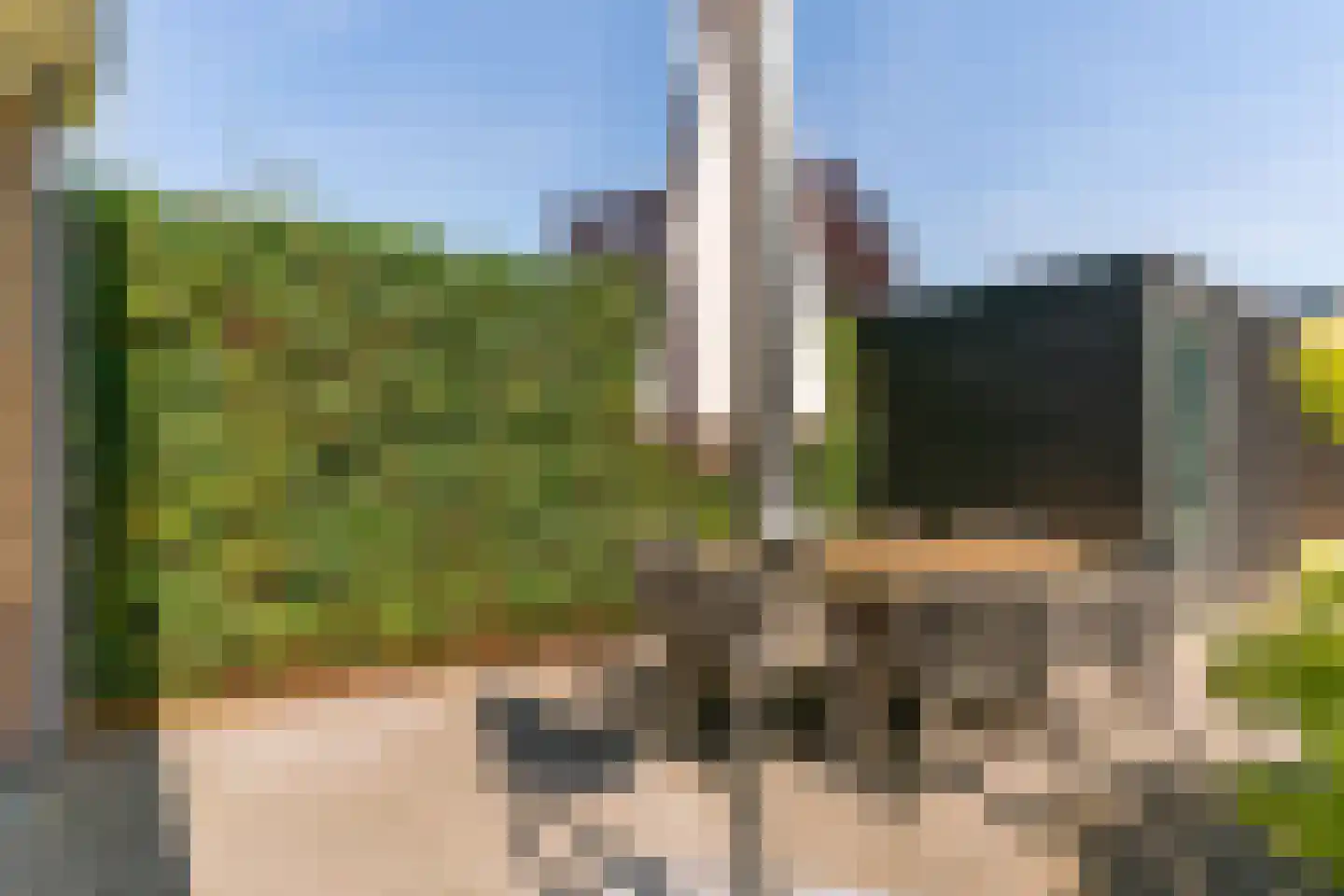 Zomerschoon 30 Limmen thumbnail 38
