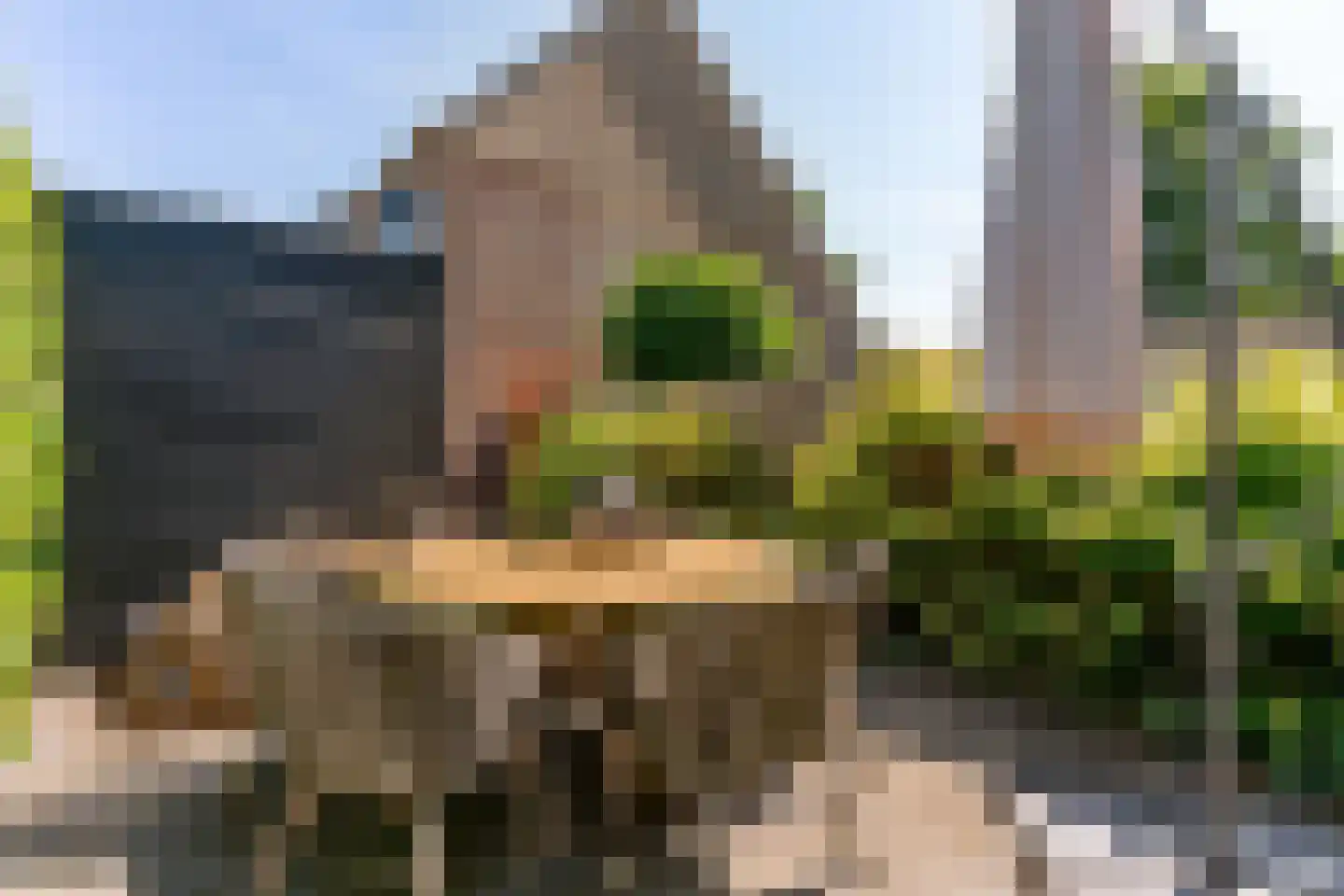Zomerschoon 30 Limmen thumbnail 39