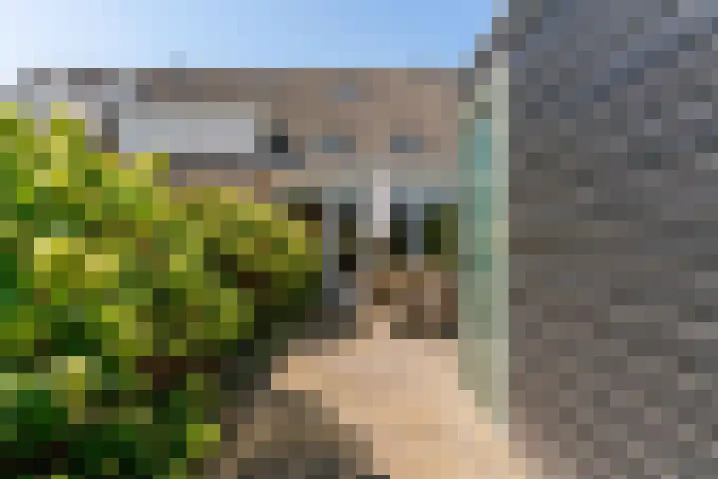 Zomerschoon 30 Limmen thumbnail 40