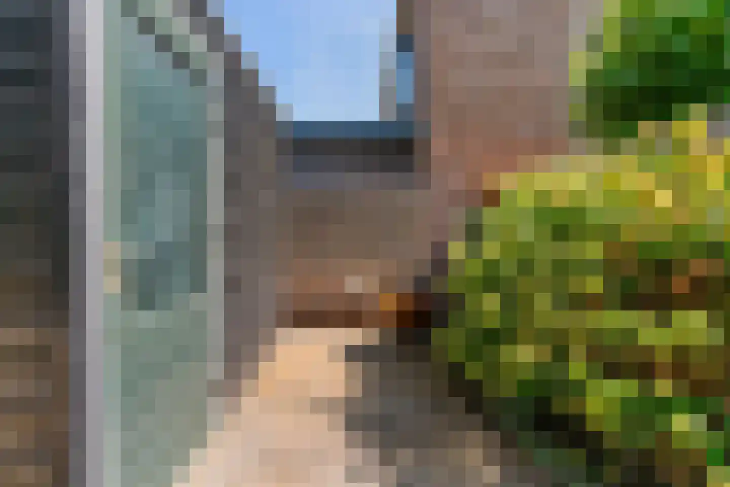 Zomerschoon 30 Limmen thumbnail 41