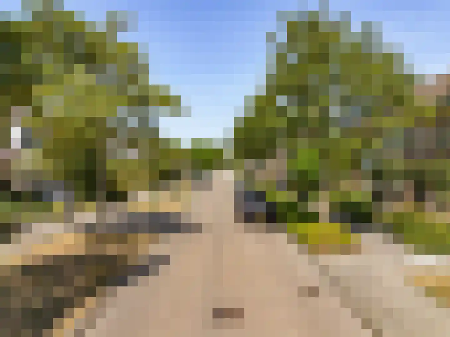 Zomerschoon 30 Limmen thumbnail 43