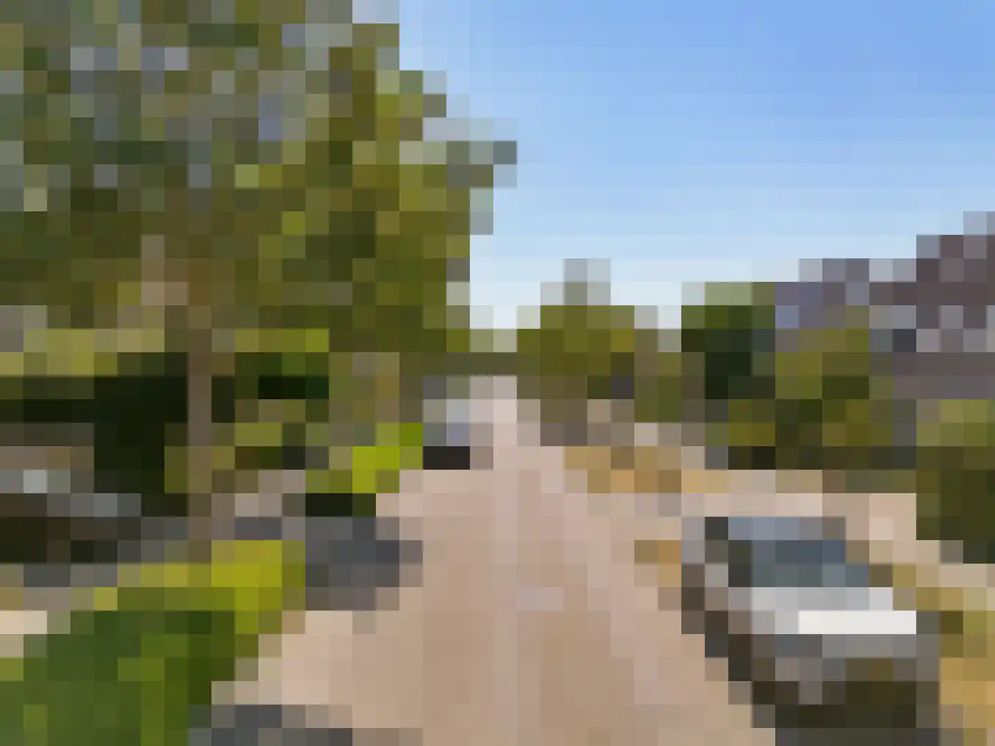 Zomerschoon 30 Limmen thumbnail 44