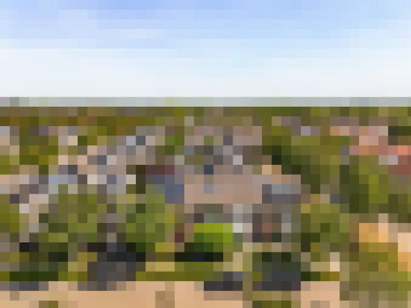 Zomerschoon 30 Limmen thumbnail 6