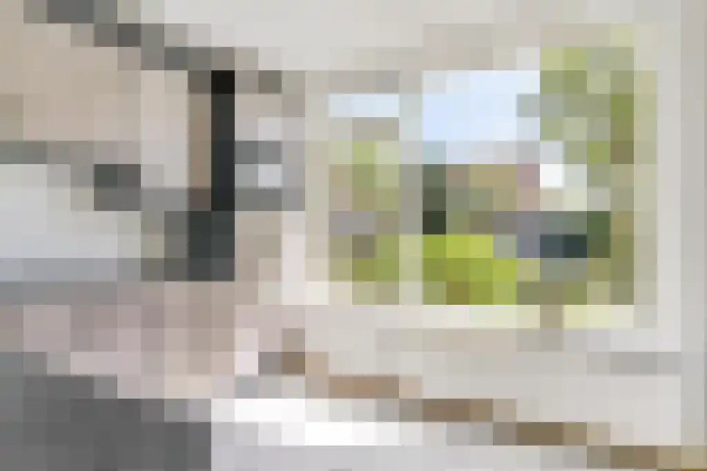 Zomerschoon 55 Limmen thumbnail 12