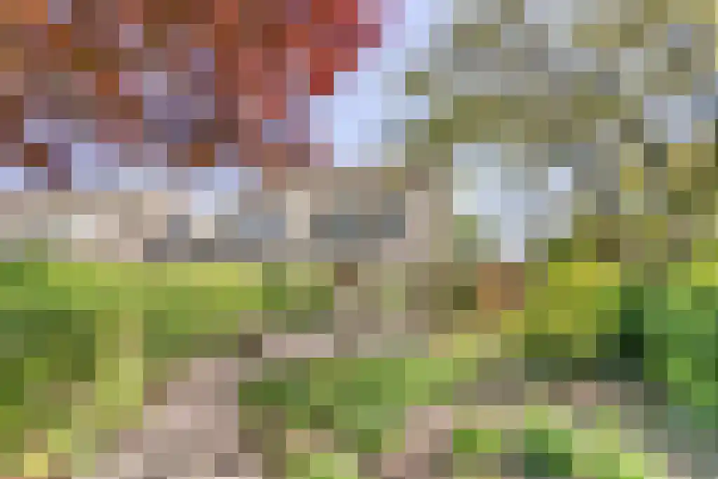Zomerschoon 55 Limmen thumbnail 30