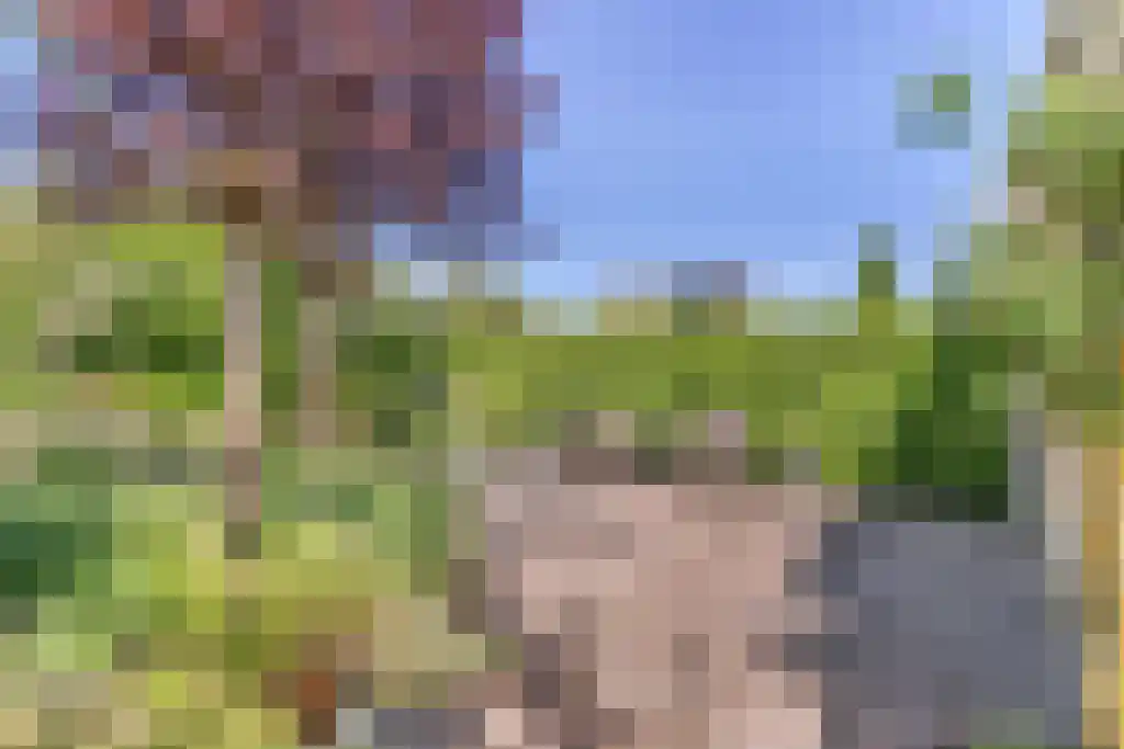 Zomerschoon 55 Limmen thumbnail 31