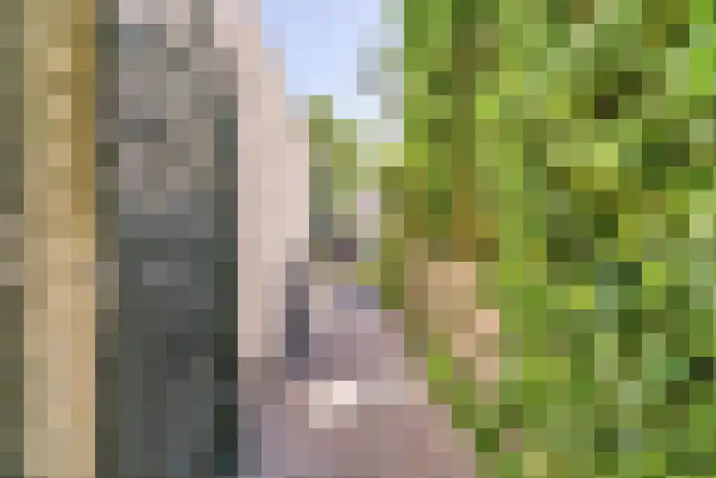 Zomerschoon 55 Limmen thumbnail 32