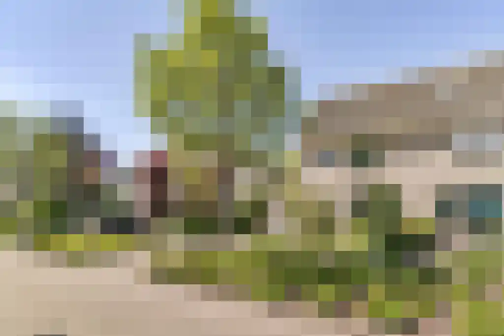 Zomerschoon 55 Limmen thumbnail 34