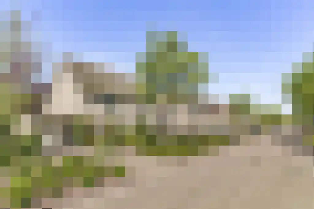 Zomerschoon 55 Limmen thumbnail 35