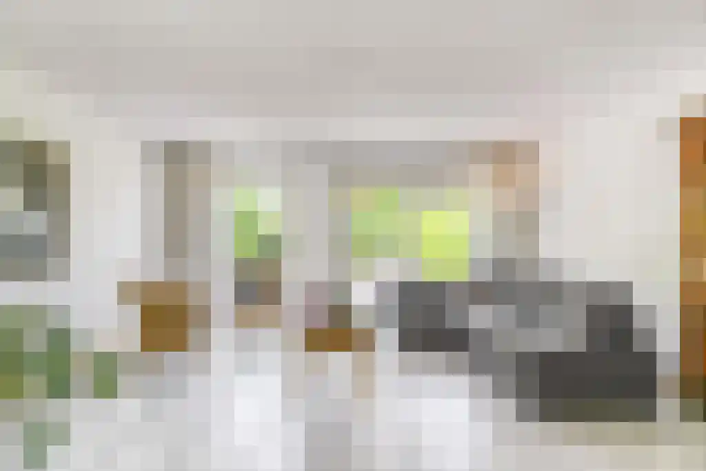 Zomerschoon 55 Limmen thumbnail 7