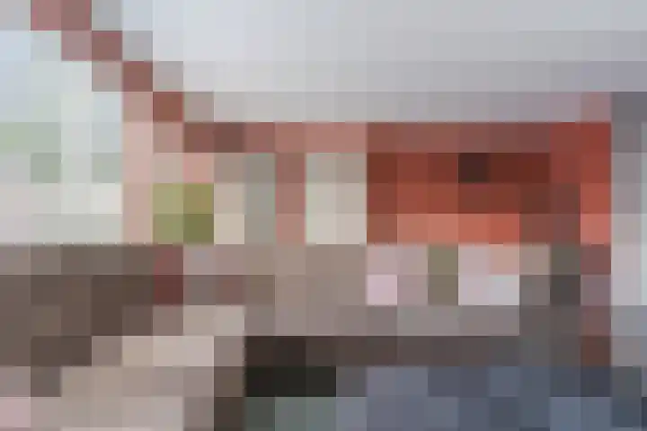 Zomersloot 15 Broek op Langedijk thumbnail 16