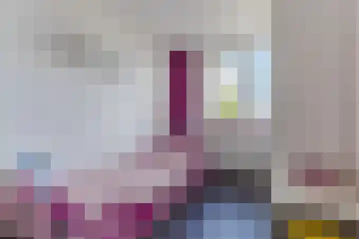 Zomersloot 15 Broek op Langedijk thumbnail 23